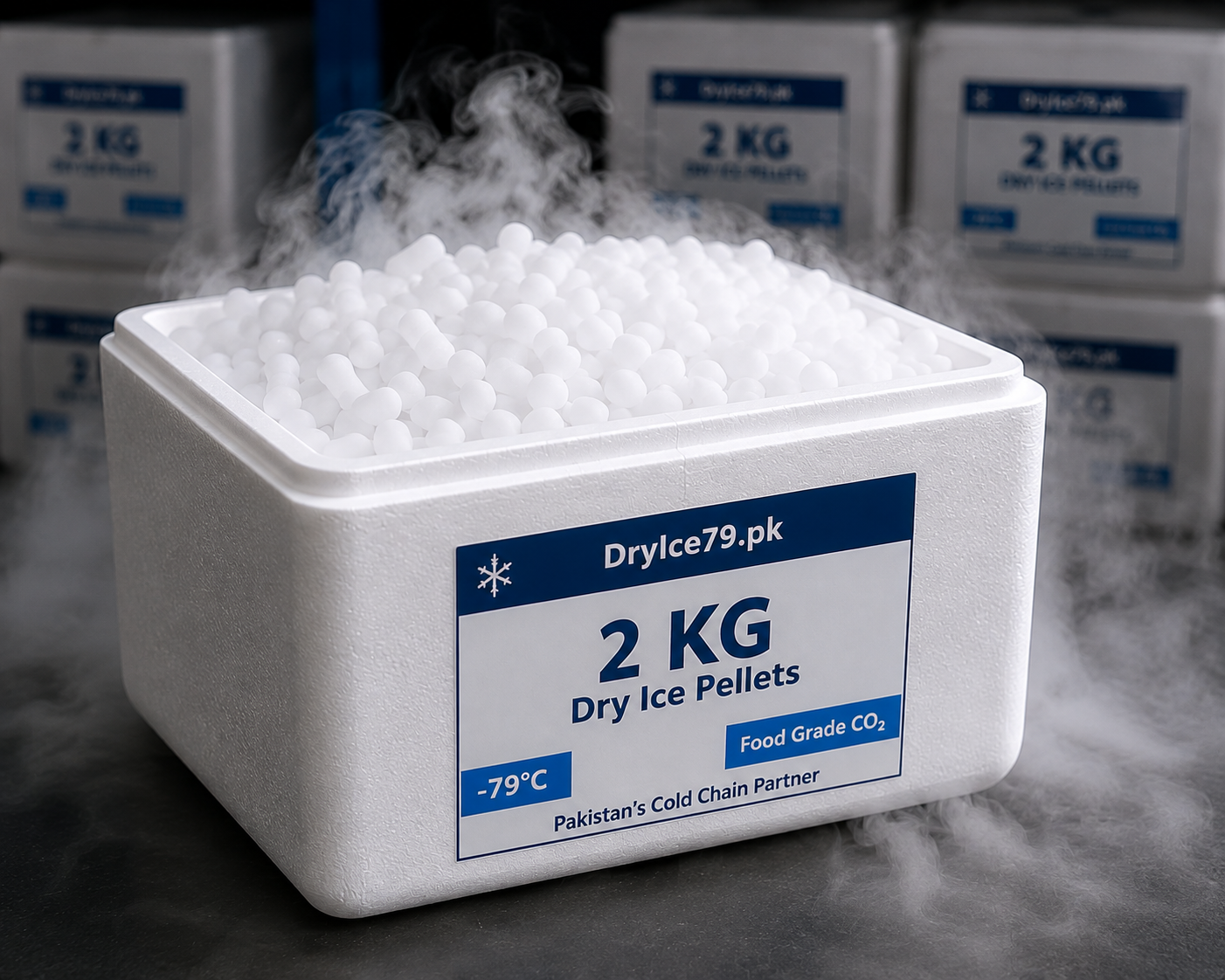 2 KG Food Grade Dry Ice Pellets