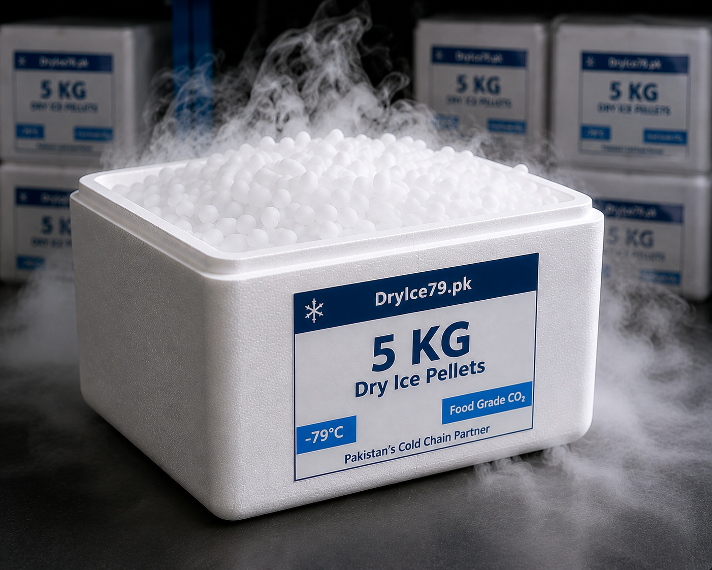 5 KG Food Grade Dry Ice Pellets